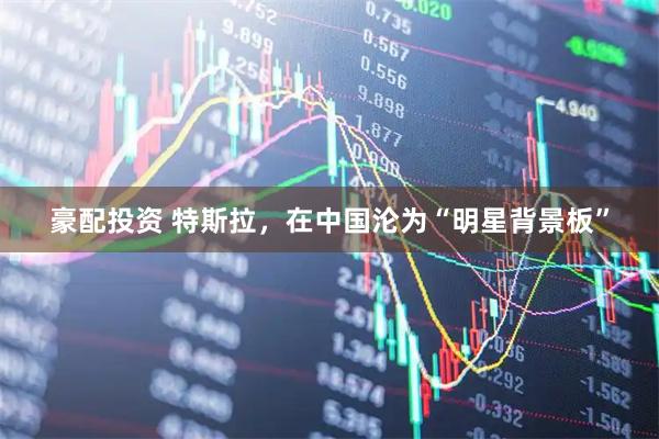 豪配投资 特斯拉，在中国沦为“明星背景板”