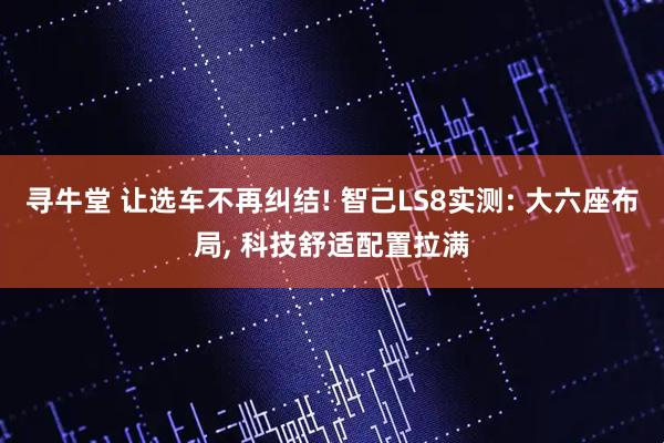 寻牛堂 让选车不再纠结! 智己LS8实测: 大六座布局, 科技舒适配置拉满