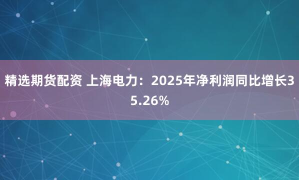 精选期货配资 上海电力:2025年净利润同比增长35.26%